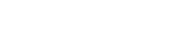 IDTT